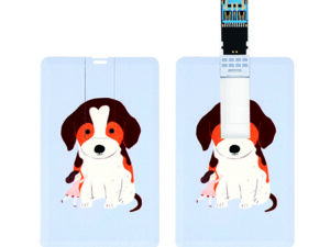 USB 기념품제작 망고스토리지 카드형 USB3.0메모리 16GB
