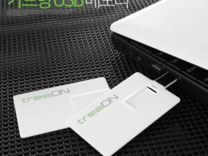 카드형 USB제작 트리온 카드 USB2.0 4G 대표이미지